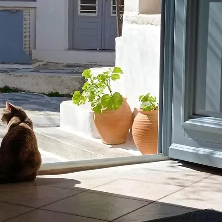 Moscha's Pink House In Chalki Dom wakacyjny *